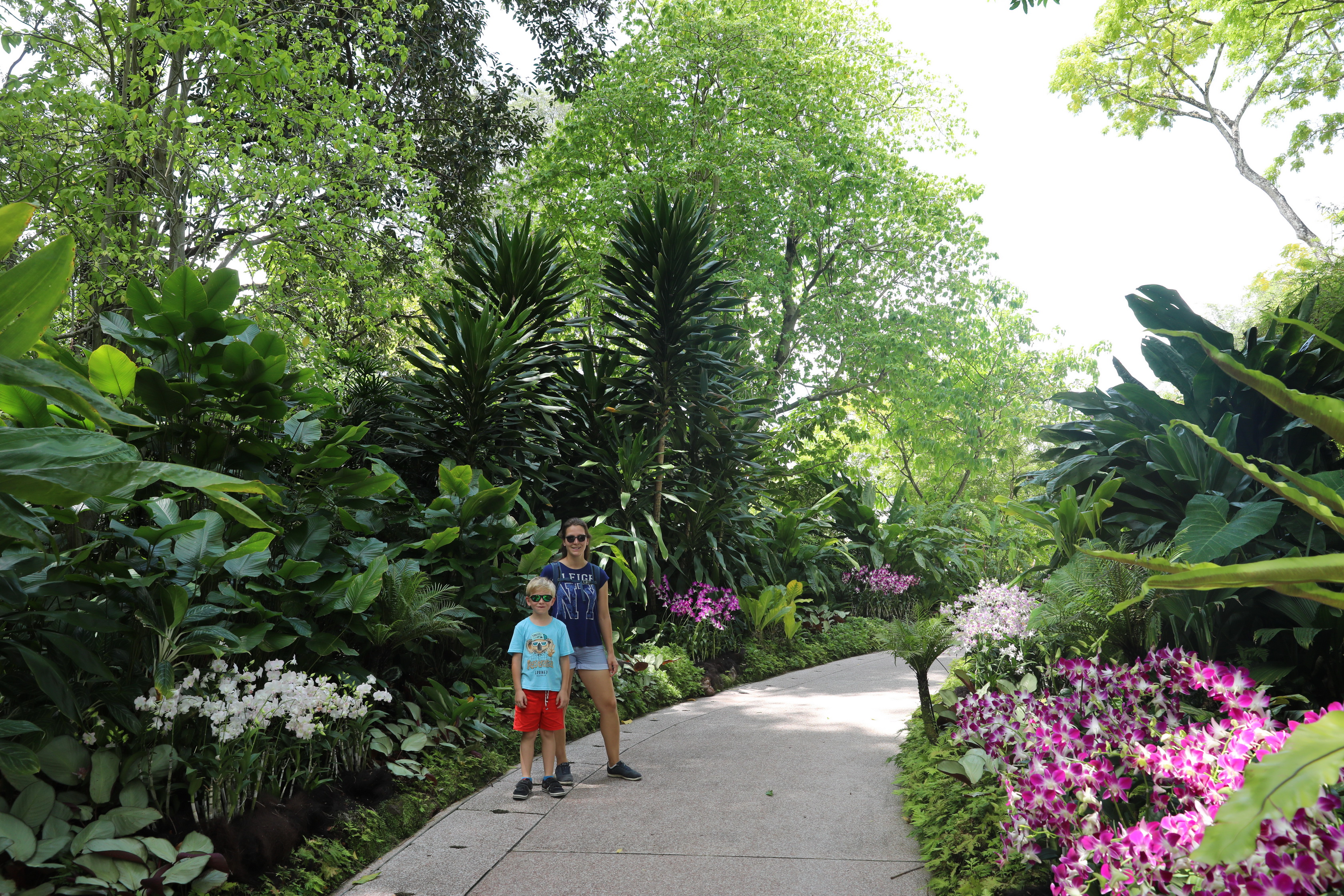 2020 02 03 13 40 22 Canon EOS 5D Mark IV 0016